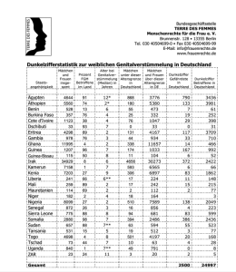 In den eigenen Veröffentlichungen ignoriert Terre des Femmes seit Jahren wichtige Risikogruppen, wie z.B. Mädchen aus Indonesien, Jemen uva. Ländern